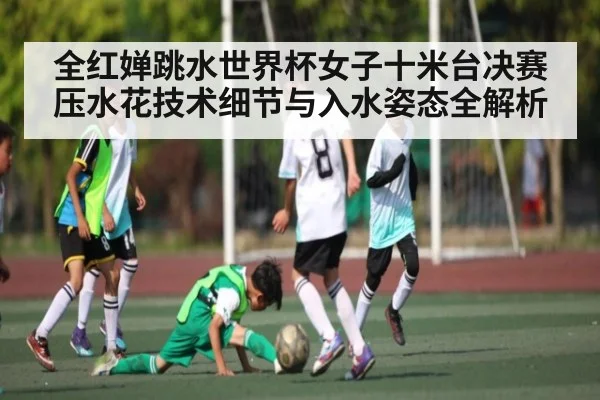 全红婵跳水世界杯女子十米台决赛压水花技术细节与入水姿态全解析